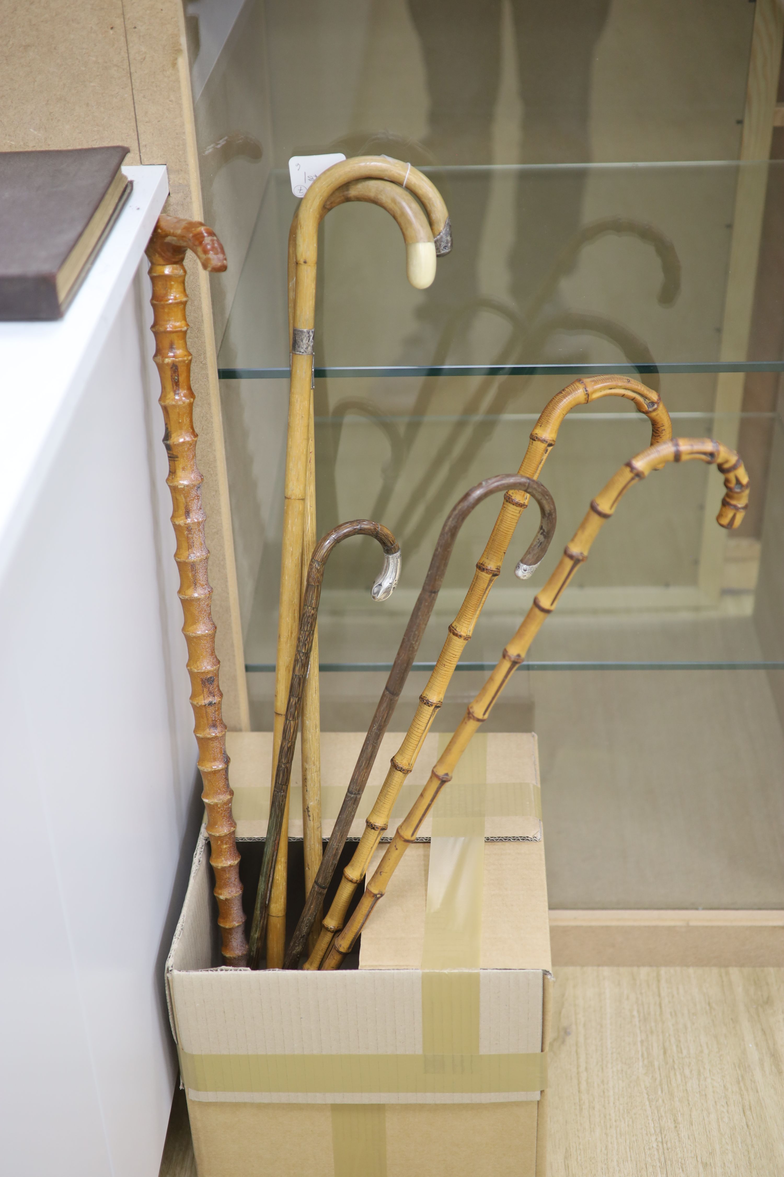 A collection of 7 cane/bamboo and silver-mounted walking sticks